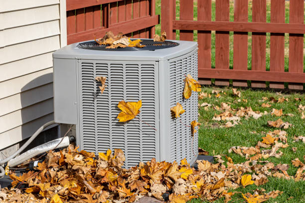 Best Best HVAC companies  in Lone Star, TX